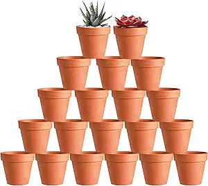 image link terracotta pots https://amzn.to/4fHeaAM