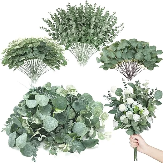 image link eucalyptus