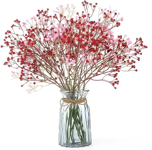 image link baby breath 