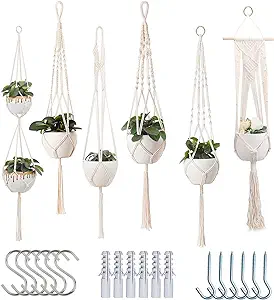 planters image link