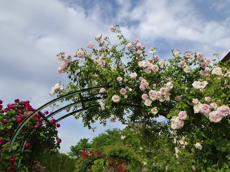 Outdoor Shade Canopy DIY