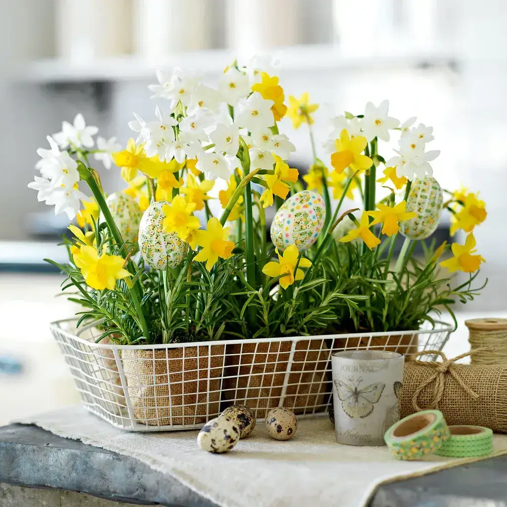 daffodils paired with pastel eggs, perfect for Easter decorations and bringing a spring-inspired vibe to your home