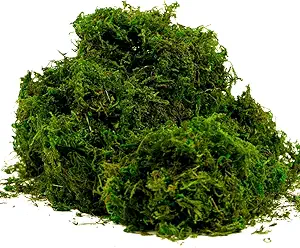 moss