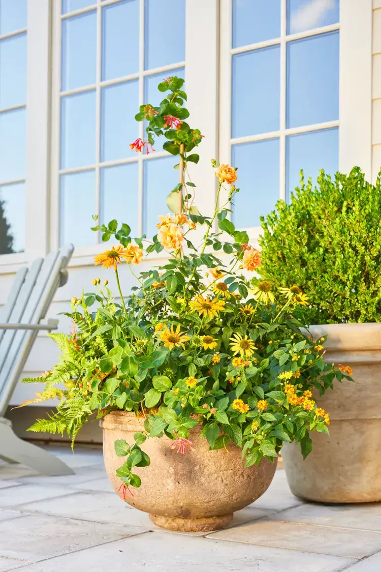 thrifted flower pots for porch decor in summer