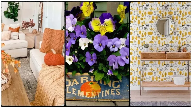 Fall Decor Tips for a Cozy Apartment Interior (Chic Rental Decor)