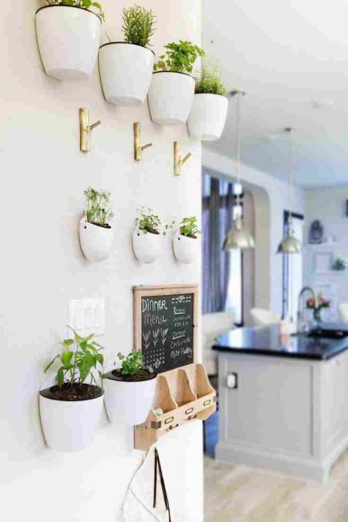 Wall hanging planters with adhesive hooks