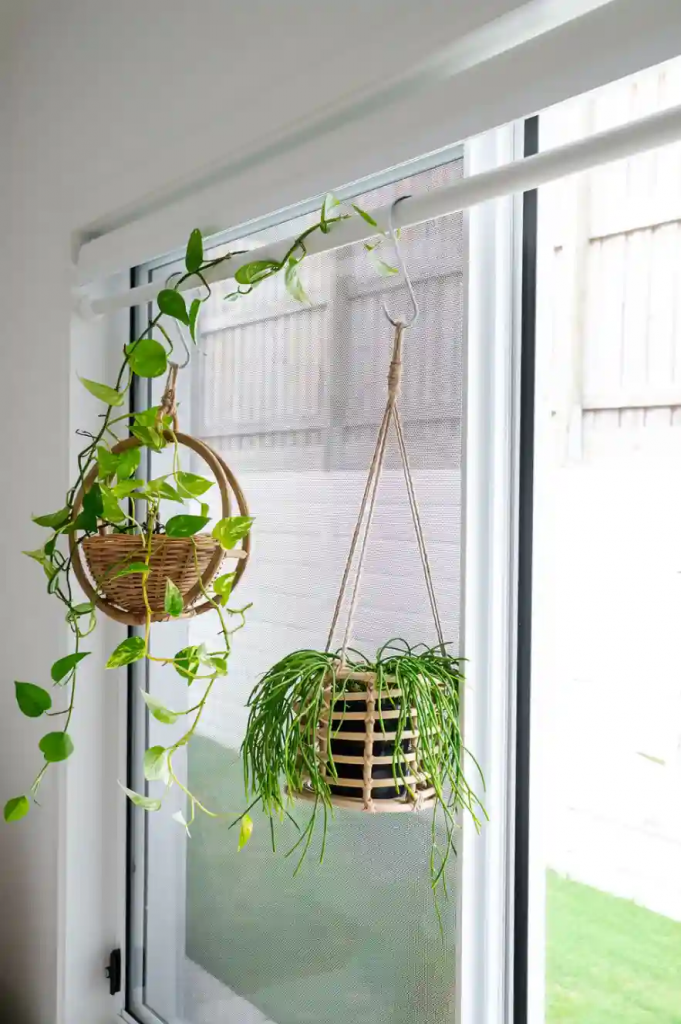 plants hanging from tension rod in a window frame